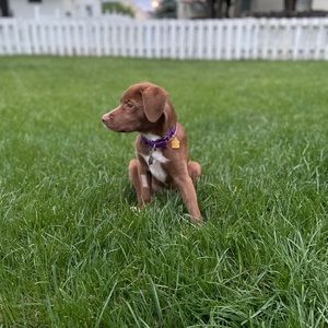 Meet your Posher, Tyler